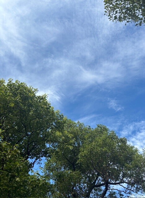施術のこだわり