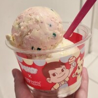 念願の！