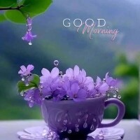 おはようございます♪