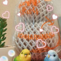 素敵な1日でした♪