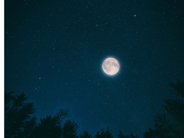 おやすみなさい🌙