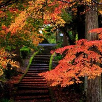 こんにちは(˶ᐢᗜᐢ˶)