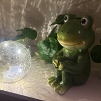 新ルームかんせ～い㊗️