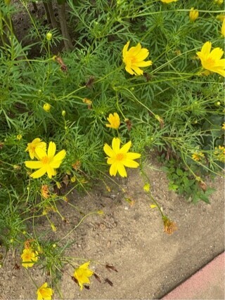 涼しいけど暑いよ