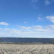 おはようございます