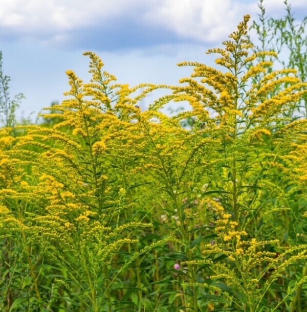 ☆おはようございます☆