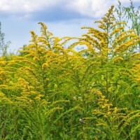 ☆おはようございます☆