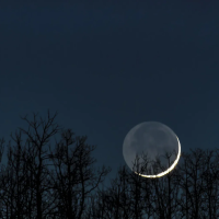 新月🌑