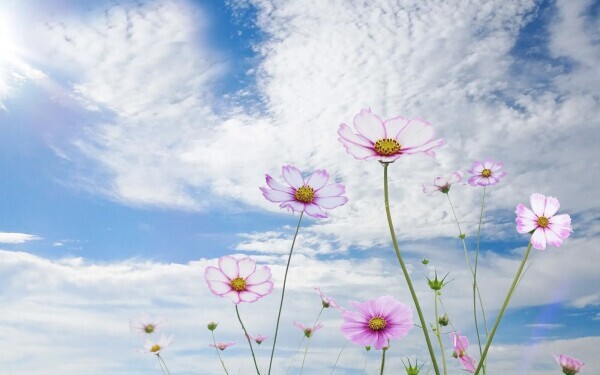 おはようございます♪