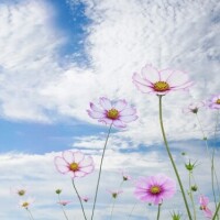 おはようございます♪