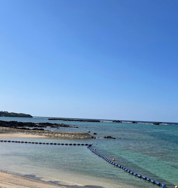 朝が始まったよ〜