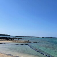 朝が始まったよ〜