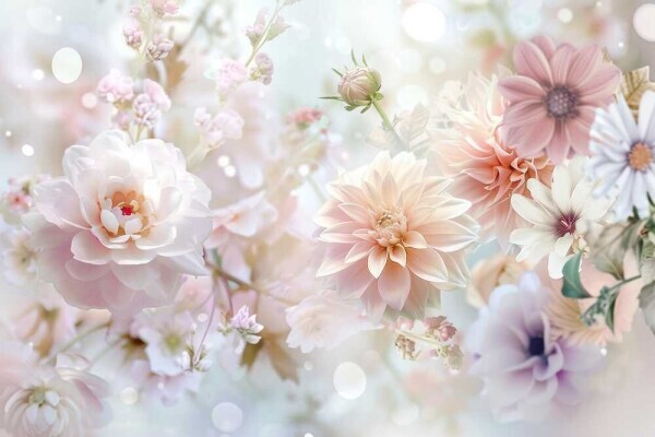 日差しが強い〜☀💦