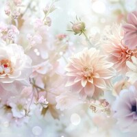 日差しが強い〜☀💦