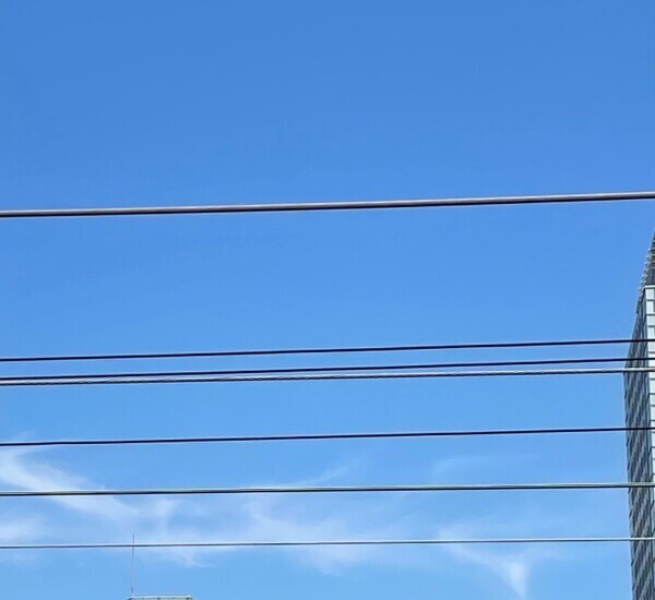 良い休日になりますように☺︎