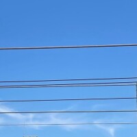 良い休日になりますように☺︎