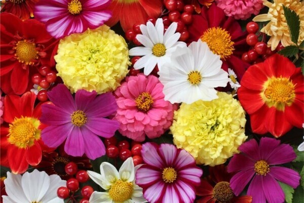 おはようございます