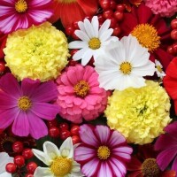 おはようございます