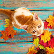 やっとですね♬.*ﾟ