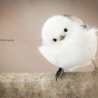 Re: ありがとうございました😊