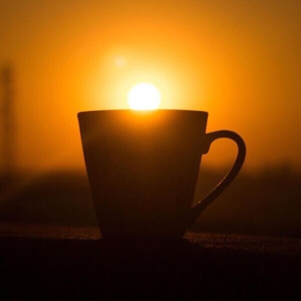 おはようございます♪