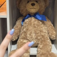 ありがとうございました🧸