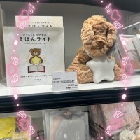 優しい世界✨️