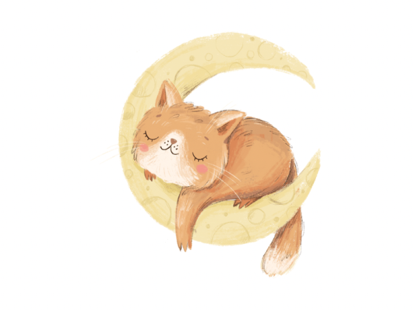 おやすみなさい🌙