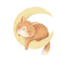 おやすみなさい🌙