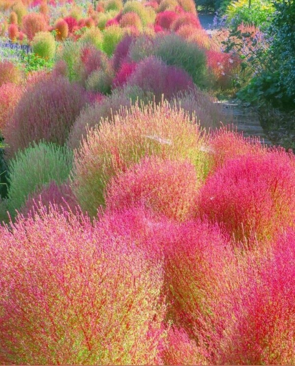 こんにちは(」・ω・)