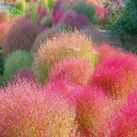 こんにちは(」・ω・)