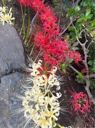 やってしまったー