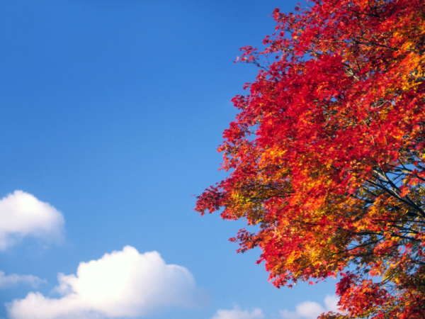 今日も笑顔でありがとう😊