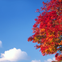 今日も笑顔でありがとう😊