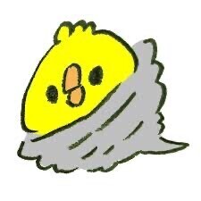 嵐の中で輝いて