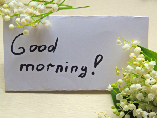 おはようございます😊