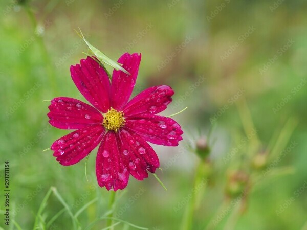 そろそろ。。♡♡