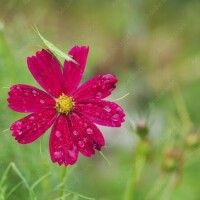 そろそろ。。♡♡