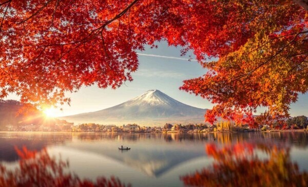 おはようございます