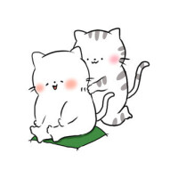 おはようございます