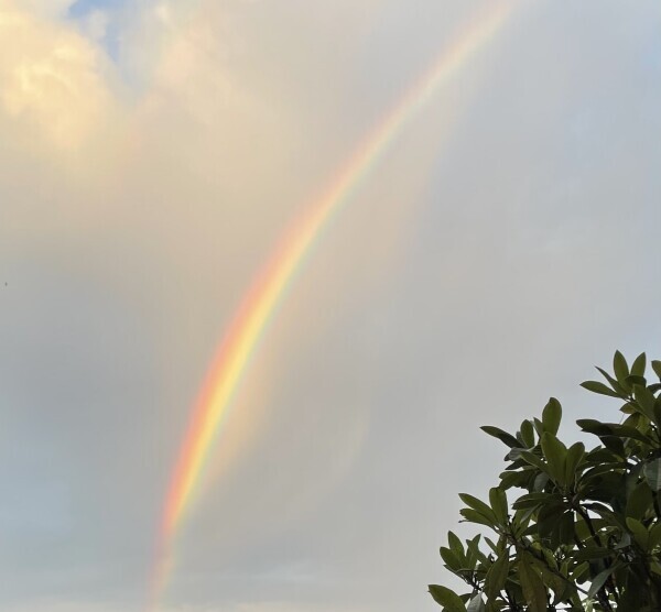 本日も（╹◡╹）