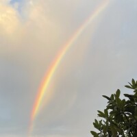 本日も（╹◡╹）