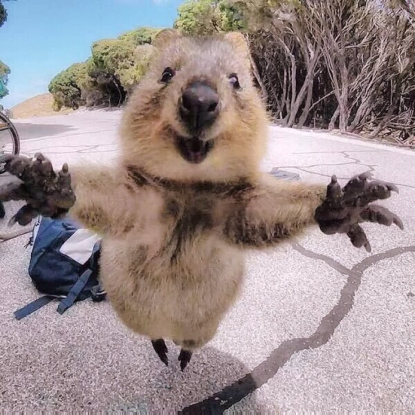 ぐっすり休日からの市原ルーム☔️♪