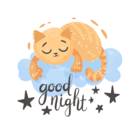 今日もありがとう💫