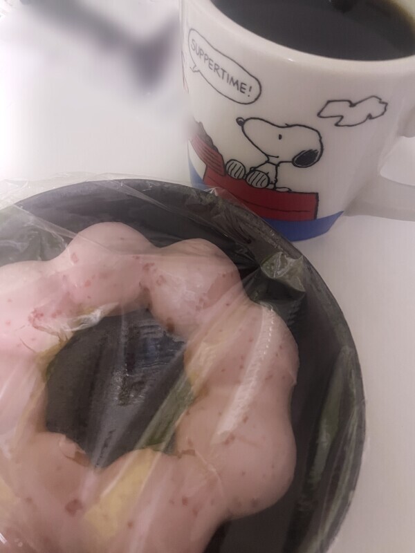 差し入れ合戦♡