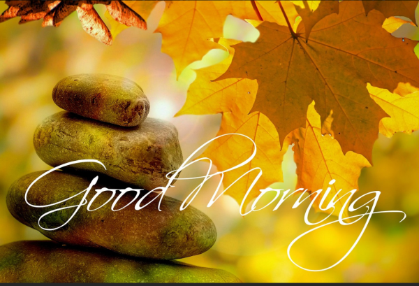 おはようございます