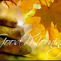 おはようございます