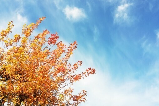 おはようございます