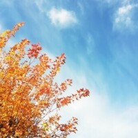 おはようございます