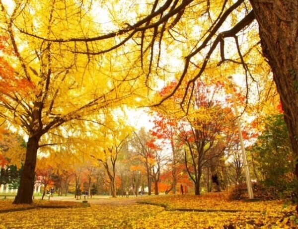 おはようございます